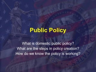 Public Policy What is domestic public policy? What are the steps in policy creation? How do we know the policy is working? 