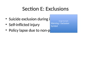 Policy_Decoding_With_Photo_Examples.pptx
