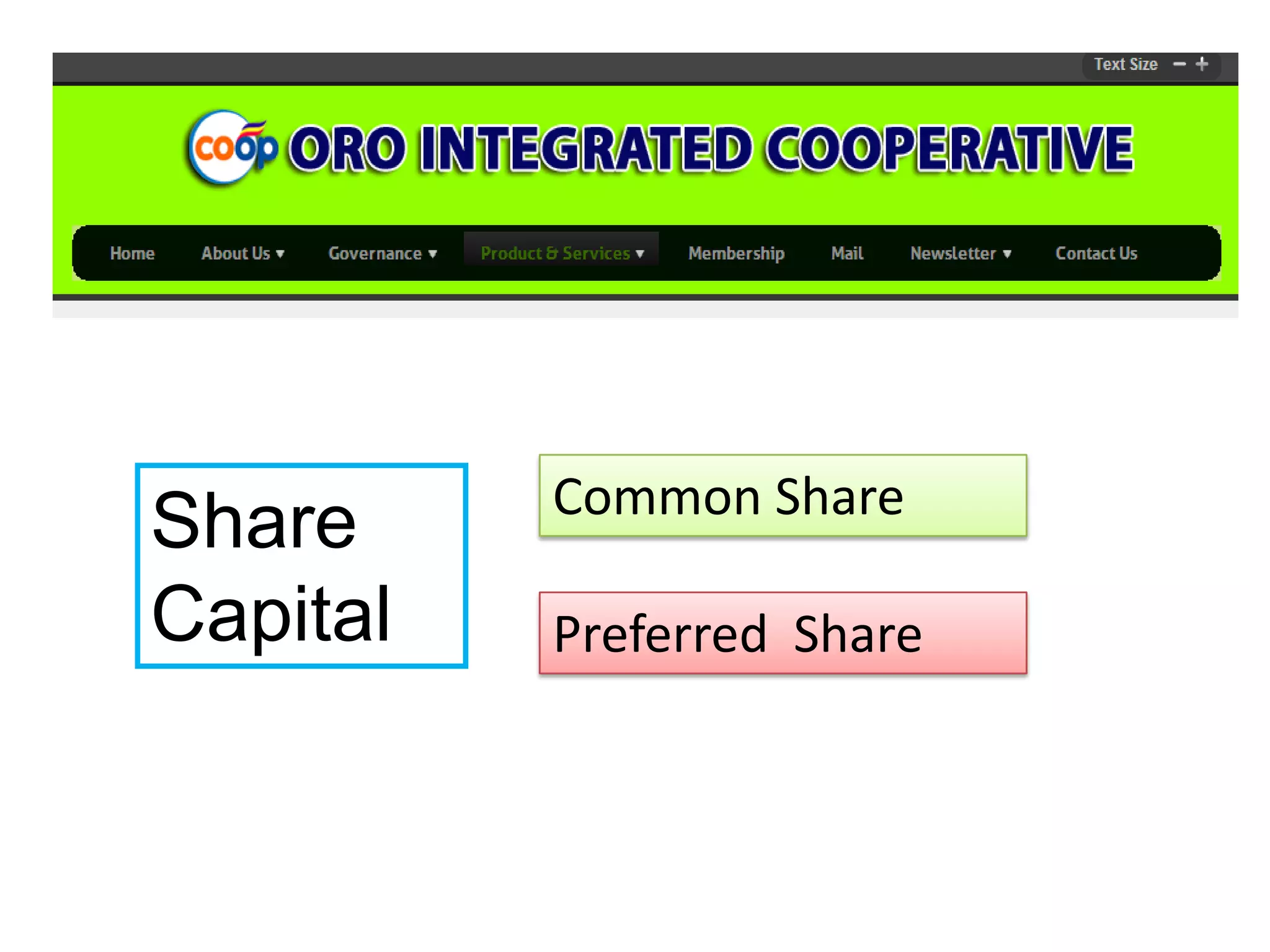 Share
Capital

Common Share
Preferred Share

 