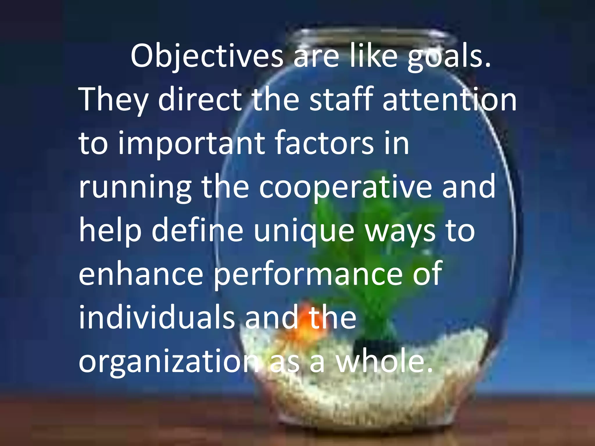 Objectives are like goals.
They direct the staff attention
to important factors in
running the cooperative and
help define unique ways to
enhance performance of
individuals and the
organization as a whole.

 