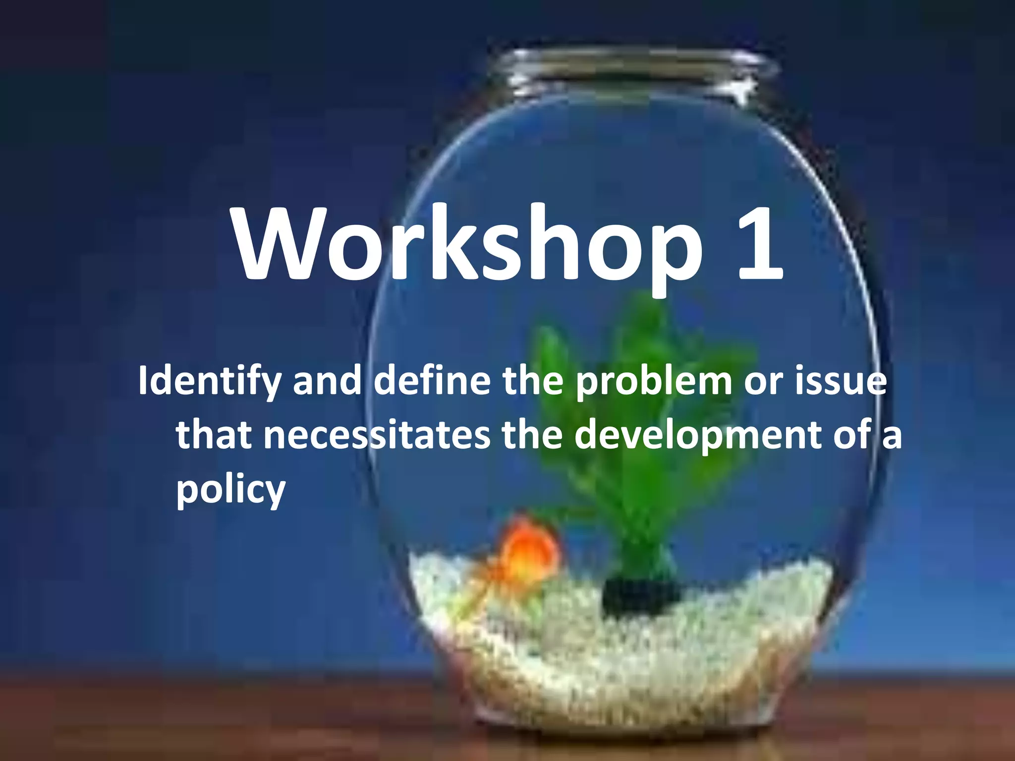 Workshop 1
Identify and define the problem or issue
that necessitates the development of a
policy

 