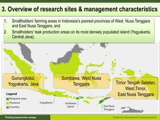 Policy framework for complementary integrated Management of Timber and Non-timber Forest Products to Enhance Local Livelihoods in Indonesia