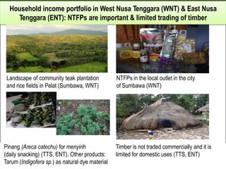 Policy framework for complementary integrated Management of Timber and Non-timber Forest Products to Enhance Local Livelihoods in Indonesia