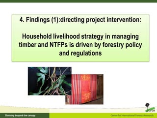 Policy framework for complementary integrated Management of Timber and Non-timber Forest Products to Enhance Local Livelihoods in Indonesia