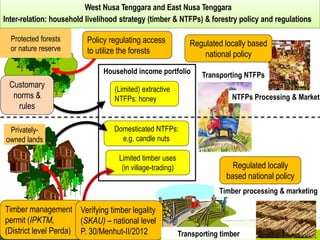 Policy framework for complementary integrated Management of Timber and Non-timber Forest Products to Enhance Local Livelihoods in Indonesia