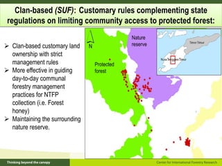 Policy framework for complementary integrated Management of Timber and Non-timber Forest Products to Enhance Local Livelihoods in Indonesia