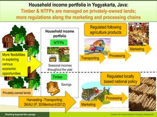 Policy framework for complementary integrated Management of Timber and Non-timber Forest Products to Enhance Local Livelihoods in Indonesia