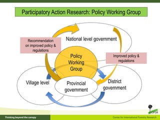 Policy framework for complementary integrated Management of Timber and Non-timber Forest Products to Enhance Local Livelihoods in Indonesia
