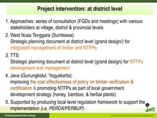 Policy framework for complementary integrated Management of Timber and Non-timber Forest Products to Enhance Local Livelihoods in Indonesia