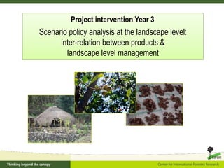 Policy framework for complementary integrated Management of Timber and Non-timber Forest Products to Enhance Local Livelihoods in Indonesia