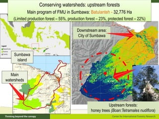 Policy framework for complementary integrated Management of Timber and Non-timber Forest Products to Enhance Local Livelihoods in Indonesia