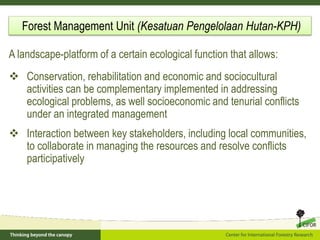 Policy framework for complementary integrated Management of Timber and Non-timber Forest Products to Enhance Local Livelihoods in Indonesia