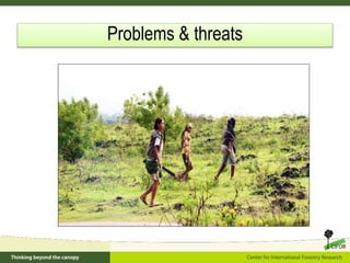 Problems & threats
 