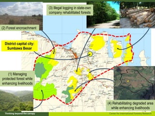 Policy framework for complementary integrated Management of Timber and Non-timber Forest Products to Enhance Local Livelihoods in Indonesia