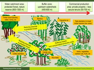 Policy framework for complementary integrated Management of Timber and Non-timber Forest Products to Enhance Local Livelihoods in Indonesia