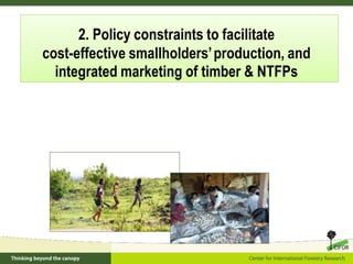 Policy framework for complementary integrated Management of Timber and Non-timber Forest Products to Enhance Local Livelihoods in Indonesia