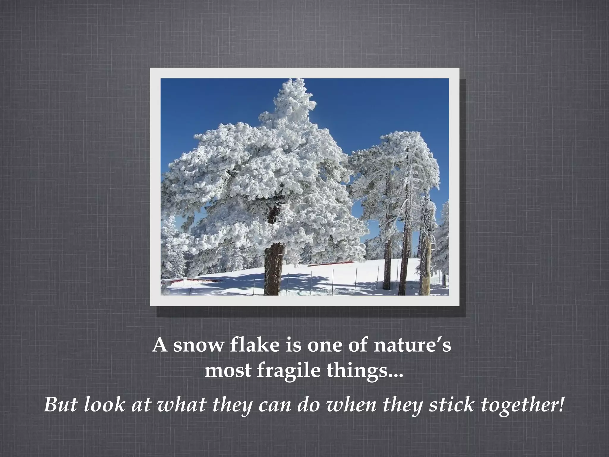 A snow flake is one of nature’s most fragile things... But look at what they can do when they stick together!