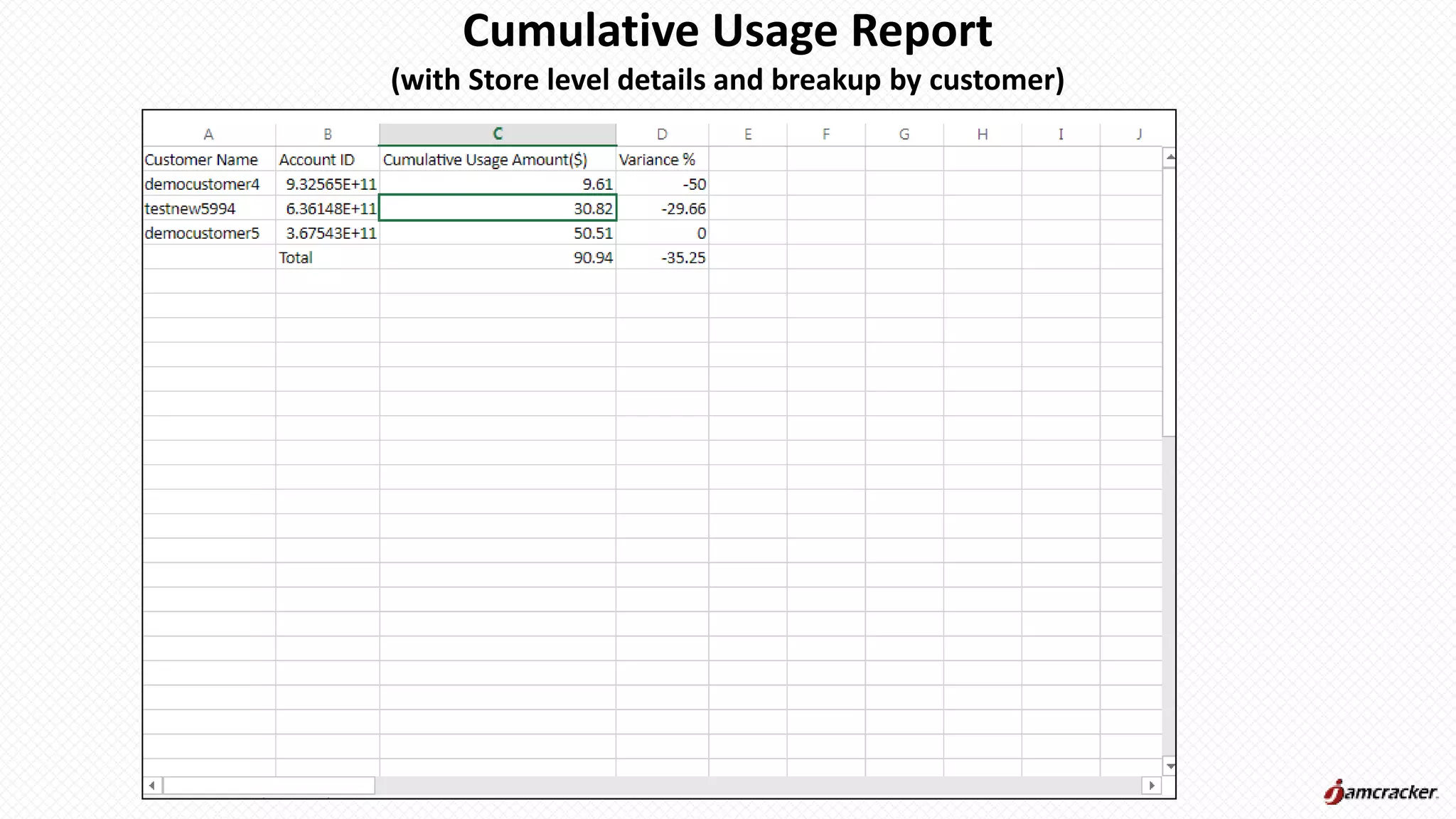 Cumulative Usage Report
(with Store level details and breakup by customer)