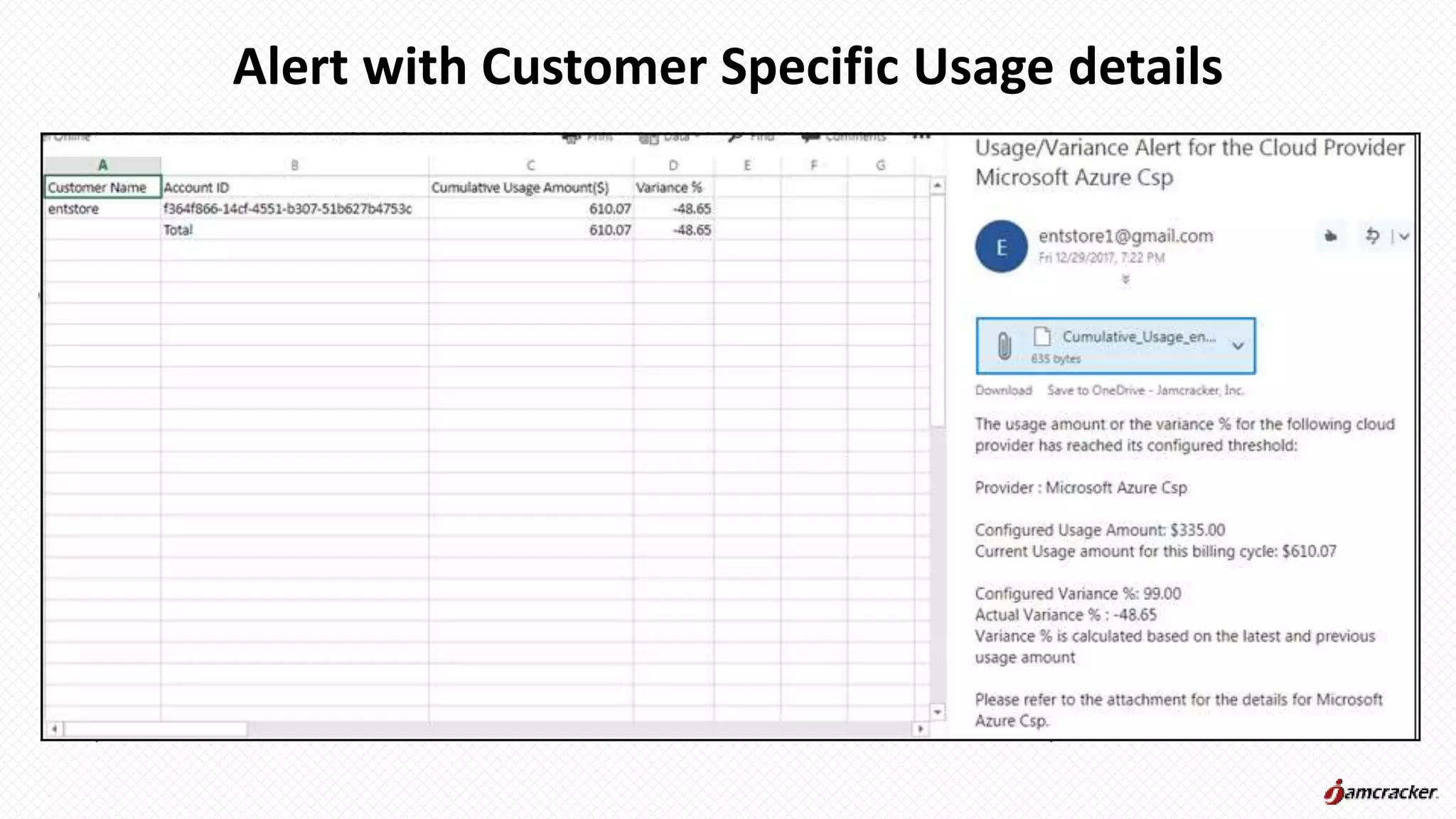 Alert with Customer Specific Usage details