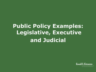 Public Policy Examples: Legislative, Executive  and Judicial 