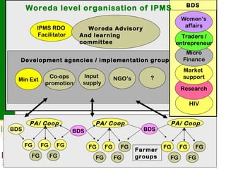 Contributing to evidence-based policy making: IPMS approach