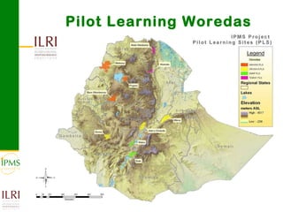 Contributing to evidence-based policy making: IPMS approach