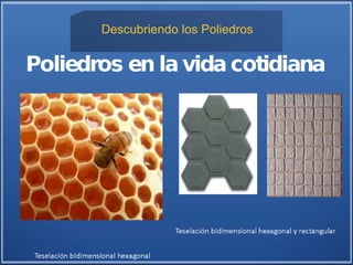 Descubriendo los Poliedros
 