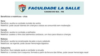 Benefícios e malefícios - chás
Sene
Benefício: auxilia no combate à prisão de ventre
Malefício: pode causar diarreia em crianças e idosos se consumida sem moderação
Canela
Benefício: auxilia no combate a resfriados
Malefício: acelera o ritmo dos batimentos cardíacos, um risco para idosos e crianças
Babosa
Benefício: auxilia na cicratrização da pele e couro cabeludo
Malefícios: se ingerida, pode causar hemorragia digestiva
Cabacinho
Benefício: Sua inalação ajuda a combater a sinusite
Malefício: o contato com a espuma, formada a partir da fervura das folhas, pode causar hemorragia nasal
 