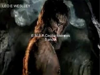 LEO E WESLLEY E VITOR
E.M.E.F Cecilia Meireles
5 ano A
LEO E WESLLEY
 