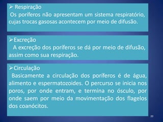 Respiração
Os poríferos não apresentam um sistema respiratório,
cujas trocas gasosas acontecem por meio de difusão.
Excreção
A excreção dos poríferos se dá por meio de difusão,
assim como sua respiração.
Circulação
Basicamente a circulação dos poríferos é de água,
alimento e espermatozoides. O percurso se inicia nos
poros, por onde entram, e termina no ósculo, por
onde saem por meio da movimentação dos flagelos
dos coanócitos.
20
 