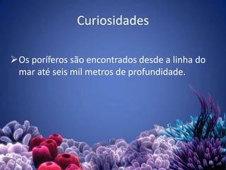 Curiosidades
Os poríferos são encontrados desde a linha do
mar até seis mil metros de profundidade.
22
 