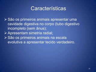 31
 São os primeiros animais apresentar uma
cavidade digestiva no corpo (tubo digestivo
incompleto (sem ânus);
 Apresentam simetria radial;
 São os primeiros animais na escala
evolutiva a apresentar tecido verdadeiro.
Características
 