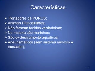 Características
5
 Portadores de POROS;
 Animais Pluricelulares;
 Não formam tecidos verdadeiros;
 Na maioria são marinhos;
 São exclusivamente aquáticos;
 Aneurismáticos (sem sistema nervoso e
muscular);
 