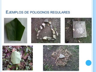 Ejemplos de poligonos regulares