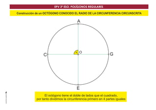 Construcción de un OCTÓGONO CONOCIDO EL RADIO DE LA CIRCUNFERENCIA CIRCUNSCRITA
O
G
A
C
E
DEl octógono tiene el doble de lados que el cuadrado,
por tanto dividimos la circunferencia primero en 4 partes iguales
EPV 3º ESO. POLÍGONOS REGULARES
 