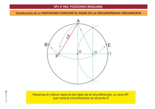 O
A
1
P
B E
L5
M
Construcción de un PENTÁGONO CONOCIDO EL RADIO DE LA CIRCUNFERENCIA CIRCUNSCRITA
DHacemos lo mismo hacia el otro lado de la circunferencia, un arco AP
que corta la circunferencia en el punto E
EPV 3º ESO. POLÍGONOS REGULARES
 