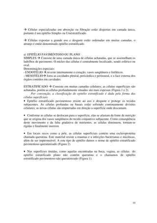 Células especializadas em absorção ou filtração estão dispostas em camada única,
portanto é um epitélio Simples ou Uniestratificado.

    Células expostas a grande uso e desgaste estão ordenadas em muitas camadas, o
arranjo é então denominado epitélio estratificado.


a) EPITÉLIO PAVIMENTOSO OU PLANO
SIMPLES       Consiste de uma camada única de células achatadas, que se assemelham os
ladrilhos de pavimento. O núcleo das células é centralmente localizado, sendo esférico ou
oval.
Denominações especiais:
- ENDOTÉLIO reveste internamente o coração, vasos sangüíneos e linfáticos.
- MESOTÉLIO forra as cavidades pleural, pericárdica e peritoneal, e a face externa dos
órgãos contidos em cavidades.

ESTRATIFICADO           Consiste em muitas camadas celulares; as células superficiais são
achatadas, porém as células profundamente situadas são mais espessas (Figura 1 e 2).
      Por convenção, a classificação do epitélio estratificado é dada pela forma das
células superficiais.
• Epitélio estratificado pavimentoso resiste ao uso e desgaste e protege os tecidos
subjacentes. As células profundas ou basais estão sofrendo continuamente divisões
celulares; as novas células são empurradas em direção a superfície onde descamam.

• Conforme as células se deslocam para a superfície, elas se afastam da fonte de nutrição
que se origina dos vasos sangüíneos do tecido conjuntivo subjacente. Como conseqüência
deste movimento e da falta gradativa de nutrientes, as células diminuem, tornam-se
rígidas e finalmente morrem.

• Em locais secos como a pele, as células superfíciais contém uma escleroproteína
chamada queratina. Este material resiste a traumas e a infecções bacterianas e micóticas,
além de ser impermeável. A este tipo de epitélio damos o nome de epitélio estratificado
pavimentoso queratinizado (Figura 2).

• Nas superfícies úmidas, como aquelas encontradas na boca, vagina, as células do
epitélio estratificado plano não contém queratina e o chamamos de epitélio
estratificado pavimentoso não queratinizado (Figura 1).




                                                                                      10
 