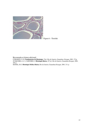 Figura 6 – Tireóide




Recomenda-se leitura adicional:
COMARCK, D. H. Fundamentos de Histologia. 2ºed., Rio de Janeiro, Guanabara Koogan, 2001, 371p.
JUNQUEIRA, L.C.; CARNEIRO, J. Histologia Básica. 10ª ed., Rio de Janeiro, Guanabara Koogan, 2004.
495 p.
KESSEL, R.G. Histologia Médica Básica. Rio de Janeiro, Guanabara Koogan, 2001, 511 p.




                                                                                                    15
 
