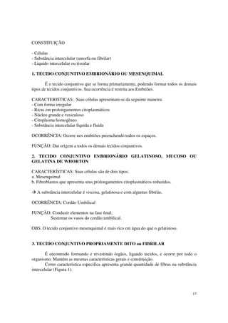 CONSTITUIÇÃO

- Células
- Substância intercelular (amorfa ou fibrilar)
- Liquido intercelular ou tissular

1. TECIDO CONJUNTIVO EMBRIONÁRIO OU MESENQUIMAL

        É o tecido conjuntivo que se forma primariamente, podendo formar todos os demais
tipos de tecidos conjuntivos. Sua ocorrência é restrita aos Embriões.

CARACTERISTICAS: Suas células apresentam-se da seguinte maneira:
- Com forma irregular
- Ricas em prolongamentos citoplasmáticos
- Núcleo grande e vesiculoso
- Citoplasma homogêneo
- Substância intercelular líquida e fluida

OCORRÊNCIA: Ocorre nos embriões preenchendo todos os espaços.

FUNÇÃO: Dar origem a todos os demais tecidos conjuntivos.

2. TECIDO CONJUNTIVO EMBRIONÁRIO GELATINOSO, MUCOSO OU
GELATINA DE WHORTON

CARACTERÍSTICAS: Suas células são de dois tipos:
a. Mesenquimal
b. Fibroblastos que apresenta seus prolongamentos citoplasmáticos reduzidos.

   A substância intercelular é viscosa, gelatinosa e com algumas fibrilas.

OCORRÊNCIA: Cordão Umbilical

FUNÇÃO: Conduzir elementos na fase fetal;
       Sustentar os vasos do cordão umbilical.

OBS. O tecido conjuntivo mesenquimal é mais rico em água do que o gelatinoso.


3. TECIDO CONJUNTIVO PROPRIAMENTE DITO ou FIBRILAR

        É encontrado formando e revestindo órgãos, ligando tecidos, e ocorre por todo o
organismo. Mantém as mesmas características gerais e constituição.
        Como característica especifica apresenta grande quantidade de fibras na substância
intercelular (Figura 1).




                                                                                       17
 