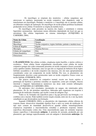 Os macrófagos se originam dos monócitos - células sanguíneas que
atravessam os capilares, penetrando no tecido conjuntivo (por diapedese), onde se
transformam em macrófagos. Portanto o monócito e o macrófago são as mesmas células,
em diferentes estágios de maturação. Os macrófagos do tecido podem proliferar localmente
produzindo novas células. O monócito se origina da medula óssea.
        Os macrófagos estão presentes na maioria dos órgãos e constituem o sistema
fagocitário mononuclear. Apresentam nomes diferentes dependendo do local em que se
encontram. São células importantes no sistema imunológico (JUNQUEIRA &
CARNEIRO, 2004).

Nome da Célula              Localização
Monócito                    Sangue
Macrófago                   Tecido conjuntivo, órgãos linfóides, pulmão e medula óssea
Célula de Kupffer           Fígado
Micróglia                   Sistema Nervoso
Células de Langerhans       Pele
Célula Dendrítica           Linfonodo
Osteoclasto                 Osso


3. PLASMÓCITOS: São células ovóides, citoplasma muito basófilo, e núcleo esférico e
excêntrico. Estas células foram originalmente classificadas como células do tecido
conjuntivo porque eles estão comumente presentes no tecido conjuntivo frouxo associado a
certos epitélios úmidos. Entretanto, uma vez que eles se originam de linfócitos B de órgãos
linfóides secundários e de tecido conjuntivo das mucosas, eles são mais apropriadamente
considerados como um componente do tecido linfóide. Por isso, os plasmócitos são
freqüentemente descritos como pertencentes tanto ao tecido conjuntivo frouxo como ao
tecido linfóide, (COMARCK, 2001).
        São poucos numerosos no conjuntivo normal, exceto nos locais sujeitos a
penetração de bactérias e proteínas estranhas ao organismo, como por exemplo, mucosa
intestinal e traqueal. Apresentam-se numerosos nas áreas onde existem inflamações
crônicas (JUNQUEIRA & CARNEIRO, 2004).
        Os anticorpos (Ac) circulantes, encontrados no sangue, são sintetizados pelos
plasmócitos. Os Ac são proteínas específicas, fabricadas pelo organismo em resposta à
penetração de moléculas estranhas, que recebe o nome de antígeno (Ag).
        Todos os Ac formados são específicos para o Ag que provocou sua formação, e se
combina com o mesmo. Pode também ocorrer reação cruzada, entre um Ac e um Ag muito
semelhante ao que desencadeou sua formação.
        Segundo COMARCK (2001), os plasmócitos são importantes células efetoras da
resposta imune: desenvolver imunidade significa ficar a salvo ou isento de reinfecção. O
tipo mais comum de imunidade desenvolve-se quando células imunologicamente
responsivas respondem a macromoléculas estranhas e produzem respostas imunes
específicas direcionadas contra elas. Uma macromolécula capaz de estimular respostas
imunes específicas é denominada antígeno. A proteína de secreção, produzida por um
plasmócito, que interage especificamente com um antígeno é denominada anticorpo. Os




                                                                                         19
 