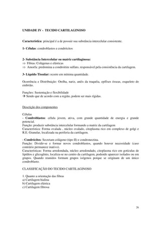 UNIDADE IV - TECIDO CARTILAGINOSO


Característica: principal é a de possuir sua substância intercelular consistente.

1- Células: condroblastos e condrócitos


2- Substância Intercelular ou matriz cartilaginosa:
⇒ Fibras: Colágenas e elásticas
⇒ Amorfa: predomina a condroitim sulfato, responsável pela consistência da cartilagem.

3- Líquido Tissular: ocorre em mínima quantidade.

Ocorrência e Distribuição: Orelha, nariz, anéis da traquéia, epífises ósseas, esqueleto do
embrião.

Funções: Sustentação e flexibilidade
  Sendo que de acordo com a região, podem ser mais rígidas.


Descrição dos componentes

Células
- Condroblastos: célula jovem, ativa, com grande quantidade de energia e grande
potencial.
Função: produzir substância intercelular formando a matriz da cartilagem
Característica: Forma ovalada , núcleo ovalado, citoplasma rico em complexo de golgi e
R.E. Granular, localizada na periferia da cartilagem.

- Condrócitos: Secretam colágeno (tipo II) e condronectina.
Função: Dividir-se e formar novos condroblastos, quando houver necessidade (caso
contrário permanece inativo).
Características: Forma arredondada, núcleo arredondado, citoplasma rico em gotículas de
lipídios e glicogênio, localiza-se no centro da cartilagem, podendo aparecer isolados ou em
grupos. Quando reunidos formam grupos isógenos porque se originam de um único
condroblasto.

CLASSIFICAÇÃO DO TECIDO CARTILAGINOSO

1. Quanto a orientação das fibras
a) Cartilagem hialina
b) Cartilagem elástica
c) Cartilagem fibrosa




                                                                                         26
 