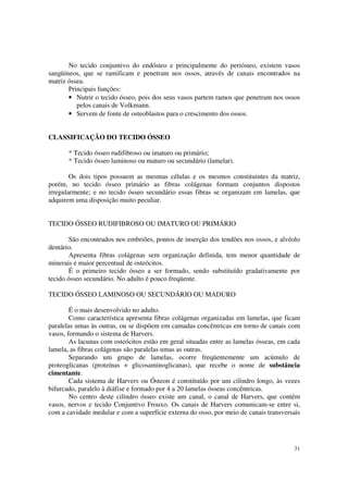 No tecido conjuntivo do endósteo e principalmente do periósteo, existem vasos
sangüíneos, que se ramificam e penetram nos ossos, através de canais encontrados na
matriz óssea.
       Principais funções:
       • Nutrir o tecido ósseo, pois dos seus vasos partem ramos que penetram nos ossos
          pelos canais de Volkmann.
       • Servem de fonte de osteoblastos para o crescimento dos ossos.


CLASSIFICAÇÃO DO TECIDO ÓSSEO

       * Tecido ósseo rudifibroso ou imaturo ou primário;
       * Tecido ósseo laminoso ou maturo ou secundário (lamelar).

        Os dois tipos possuem as mesmas células e os mesmos constituintes da matriz,
porém, no tecido ósseo primário as fibras colágenas formam conjuntos dispostos
irregularmente; e no tecido ósseo secundário essas fibras se organizam em lamelas, que
adquirem uma disposição muito peculiar.


TECIDO ÓSSEO RUDIFIBROSO OU IMATURO OU PRIMÁRIO

        São encontrados nos embriões, pontos de inserção dos tendões nos ossos, e alvéolo
dentário.
        Apresenta fibras colágenas sem organização definida, tem menor quantidade de
minerais e maior percentual de osteócitos.
        É o primeiro tecido ósseo a ser formado, sendo substituído gradativamente por
tecido ósseo secundário. No adulto é pouco freqüente.

TECIDO ÓSSEO LAMINOSO OU SECUNDÁRIO OU MADURO

        É o mais desenvolvido no adulto.
        Como característica apresenta fibras colágenas organizadas em lamelas, que ficam
paralelas umas às outras, ou se dispõem em camadas concêntricas em torno de canais com
vasos, formando o sistema de Harvers.
        As lacunas com osteócitos estão em geral situadas entre as lamelas ósseas, em cada
lamela, as fibras colágenas são paralelas umas as outras.
        Separando um grupo de lamelas, ocorre freqüentemente um acúmulo de
proteoglicanas (proteínas + glicosaminoglicanas), que recebe o nome de substância
cimentante.
        Cada sistema de Harvers ou Ósteon é constituído por um cilindro longo, às vezes
bifurcado, paralelo à diáfise e formado por 4 a 20 lamelas ósseas concêntricas.
        No centro deste cilindro ósseo existe um canal, o canal de Harvers, que contém
vasos, nervos e tecido Conjuntivo Frouxo. Os canais de Harvers comunicam-se entre si,
com a cavidade medular e com a superfície externa do osso, por meio de canais transversais




                                                                                       31
 