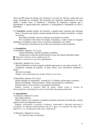 Sobrevida O tempo de duração dos eritrócitos é em torno de 120 dias, sendo após este
tempo eliminadas da circulação. São destruídas por fagocitose (hemocaterese) no baço
fígado e medula óssea. A membrana é eliminada do organismo, enquanto que a
hemoglobina é reaproveitada pelo organismo. A hemoglobina é desdobrada em ferro e
bilirrubina.

5.2. Leucócitos: quando isolados são incolores, e quando juntos mostram uma coloração
   branca. Possuem suas funções somente quando deixam o sistema circulatório e entram
   nos tecidos.
       São células nucleadas, móveis e realizam suas funções nos tecidos.
        O nº circulante é bem menor em relação as hemácias, e ainda variam em situações
patológicas, fisiológicas como o stress, exercícios, alimentação, sexo, idade.
       Os leucócitos classificam-se de acordo com a presença ou não de grânulos:

a) Granulócitos
1) Eosinófilos: diâmetro - 9 a 15 µm
       .Núcleo bilobulado, rodeado de grânulos acidófilos;
       .Função pouco conhecida, porém presume-se que suas funções principais sejam:
   Fagocitar e destruir certos complexos Ag-Ac.
   Limitar e circunscrever processos inflamatórios.

2) Basófilos: diâmetro 10 a 12 µm
  .Núcleo bilobulado ou forma irregular; podendo apresentar-se com aspecto de letra “S”.
  .Citoplasma carregado de grânulos, os quais muitas vezes obscurecem totalmente o
núcleo.
  .São raros no sangue.
  .Função - talvez participem nos estados alérgicos e no stress.

3) Neutrófilos: diâmetro 10 a 12 µm
   Núcleo lobulado ou segmentado - variando de 2 a 5 lóbulos, núcleo pouco volumoso.
  .Núcleo não lobulado - formas imaturas - bastão, metamielócitos e mielócitos.
  .Grânulos pouco visíveis devido a suas pequenas dimensões.
  .Função: constitui a primeira linha de defesa celular contra a invasão de
microorganismo, sendo fagócitos ativos de partículas de pequenas dimensões.

b) Agranulócitos:
1) Linfócitos: diâmetro 6 a 8 um.
  .São células esféricas.
  .Núcleo esférico, sua cromatina se dispõem em grumos grosseiros de modo que o núcleo
aparece escuro nos preparados usuais.
  .Funções: relacionado a respostas à antígenos, sintetizando e liberando anticorpos à
circulação. Os linfócitos funcionalmente são de 2 tipos: os circulantes de longa vida -
linfócito T, e os circulantes de vida curta - linfócitos B.

2) Monócitos: diâmetro 9 a 22 µm
      .É o maior de todos os leucócitos;



                                                                                      35
 