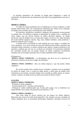 As proteínas plasmáticas são formadas no fígado pelos hepatócitos a partir de
aminoácidos. Os plasmócitos são responsáveis pela síntese das gamaglobulinas, que são os
anticorpos.


MEDULA ÓSSEA
        As células do sangue geralmente não se multiplicam na corrente sangüínea e, tendo
duração relativamente curta, são continuamente substituídas por células novas originadas
da medula óssea vermelha, que é constituída por tecido mielóide.
        Os eritrócitos, granulócitos, monócitos e plaquetas são produzidos exclusivamente
na medula óssea. Os linfócitos originam-se diretamente da medula óssea, e também em
outros órgãos, mas por divisão mitótica de células derivadas daquelas. As células
precursoras saem da medula óssea e levadas pelo sangue vão fixar-se nos órgão formados
por tecido linfóide (gânglios, tonsilas, baço, timo, nódulos linfóides), onde proliferam e
produzem linfócitos para o sangue.
        A medula óssea é encontrada no canal medular dos ossos longos e cavidades dos
ossos esponjosos. A m. óssea consiste de uma rede tridimensional de fibras reticulares que
sustentam células reticulares; as artérias nutridoras que suprem a medula ramificam-se em
arteríolas e capilares que, por sua vez, se abrem nos sinusóides. O revestimento endotelial
dos sinusóides permite que um grande número de células sangüíneas recentemente
formadas caia na circulação, passando entre as células endoteliais destes capilares.

Distinguem-se:
MEDULA ÓSSEA VERMELHA - ou Hematógena, que deve sua cor à presença de
numerosos eritrócitos em diversos estágios de maturação;

 MEDULA ÓSSEA AMARELA - Rica em células adiposas e que não produz células
sangüíneas.

        Nos recém nascidos toda a medula óssea é vermelha, e, portanto, ativa na produção
de células do sangue. Com o avançar da idade, porém, a maior parte da medula óssea
transforma-se em amarela, existindo medula óssea vermelha no adulto apenas no esterno,
costelas, vértebras, no adulto jovem nas epífises proximais do fêmur e úmero.


FUNÇÕES
MEDULA ÓSSEA VERMELHA:
. Produção de células sangüínea
. Armazenamento de Fe - ferritina e hemossiderina
. Produção de células indiferenciadas que, levadas pelo sangue, vão se estabelecer nos
órgão linfóides. Estas células são precursoras dos linfócitos T e B.

MEDULA ÓSSEA AMARELA:
       Atua como órgão de reserva nutritiva por sua riqueza em células adiposas.
Representa uma reserva de tecido hemocitopoiético. Nas situações em que a produção de
células sangüíneas deve ser aumentada (hemorragias freqüentes, destruição excessiva de



                                                                                        37
 