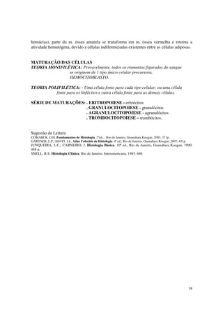 hemácias), parte da m. óssea amarela se transforma em m. óssea vermelha e retorna a
atividade hematógena, devido a células indiferenciadas existentes entre as células adiposas.


MATURAÇÃO DAS CÉLULAS
TEORIA MONIFILÉTICA: Provavelmente, todos os elementos figurados do sangue
               se originem de 1 tipo único celular precursora,
               HEMOCITOBLASTO.

TEORIA POLIFILÉTICA: - Uma célula fonte para cada tipo celular; ou uma célula
          fonte para os linfócitos e outra célula fonte para as demais células.

SÉRIE DE MATURAÇÕES: . ERITROPOIESE - eritrócitos
                     . GRANULOCITOPOIESE - granulócitos
                     . AGRANULOCITOPOIESE - agranulócitos
                     . TROMBOCITOPOIESE – trombócitos.


Sugestão de Leitura
COMARCK, D.H. Fundamentos de Histologia. 2ªed., , Rio de Janeiro, Guanabara Koogan, 2003, 371p.
GARTNER, L.P.; HIATT, J.L. Atlas Colorido de Histologia. 4ª ed., Rio de Janeiro, Guanabara Koogan, 2007, 431p.
JUNQUEIRA, L.C.; CARNEIRO, J. Histologia Básica. 10ª ed., Rio de Janeiro, Guanabara Koogan, 1990.
488 p.
SNELL, R.S. Histologia Clínica. Rio de Janeiro, Interamericana, 1985. 686




                                                                                                                 38
 