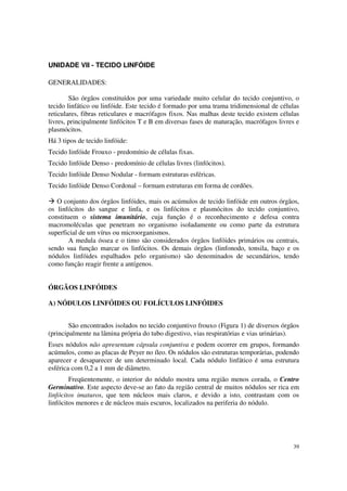 UNIDADE VII - TECIDO LINFÓIDE

GENERALIDADES:

        São órgãos constituídos por uma variedade muito celular do tecido conjuntivo, o
tecido linfático ou linfóide. Este tecido é formado por uma trama tridimensional de células
reticulares, fibras reticulares e macrófagos fixos. Nas malhas deste tecido existem células
livres, principalmente linfócitos T e B em diversas fases de maturação, macrófagos livres e
plasmócitos.
Há 3 tipos de tecido linfóide:
Tecido linfóide Frouxo - predomínio de células fixas.
Tecido linfóide Denso - predomínio de células livres (linfócitos).
Tecido linfóide Denso Nodular - formam estruturas esféricas.
Tecido linfóide Denso Cordonal – formam estruturas em forma de cordões.

   O conjunto dos órgãos linfóides, mais os acúmulos de tecido linfóide em outros órgãos,
os linfócitos do sangue e linfa, e os linfócitos e plasmócitos do tecido conjuntivo,
constituem o sistema imunitário, cuja função é o reconhecimento e defesa contra
macromoléculas que penetram no organismo isoladamente ou como parte da estrutura
superficial de um vírus ou microorganismos.
        A medula óssea e o timo são considerados órgãos linfóides primários ou centrais,
sendo sua função marcar os linfócitos. Os demais órgãos (linfonodo, tonsila, baço e os
nódulos linfóides espalhados pelo organismo) são denominados de secundários, tendo
como função reagir frente a antígenos.


ÓRGÃOS LINFÓIDES

A) NÓDULOS LINFÓIDES OU FOLÍCULOS LINFÓIDES


        São encontrados isolados no tecido conjuntivo frouxo (Figura 1) de diversos órgãos
(principalmente na lâmina própria do tubo digestivo, vias respiratórias e vias urinárias).
Esses nódulos não apresentam cápsula conjuntiva e podem ocorrer em grupos, formando
acúmulos, como as placas de Peyer no íleo. Os nódulos são estruturas temporárias, podendo
aparecer e desaparecer de um determinado local. Cada nódulo linfático é uma estrutura
esférica com 0,2 a 1 mm de diâmetro.
        Freqüentemente, o interior do nódulo mostra uma região menos corada, o Centro
Germinativo. Este aspecto deve-se ao fato da região central de muitos nódulos ser rica em
linfócitos imaturos, que tem núcleos mais claros, e devido a isto, contrastam com os
linfócitos menores e de núcleos mais escuros, localizados na periferia do nódulo.




                                                                                        39
 