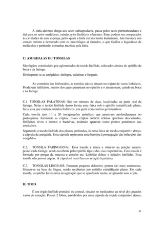 A linfa aferente chega aos seios subcapsulares, passa pelos seios peritrabeculares e
daí para os seios medulares, saindo pelos linfáticos eferentes. Estes podem ser comparados
ás cavidades de uma esponja, pelos quais a linfa circula muito lentamente. Isto favorece um
contato íntimo e demorado com os macrófagos aí situados, o que facilita a fagocitose de
moléculas e partículas estranhas trazidas pela linfa.


C) AMIGDALAS OU TONSILAS

São órgãos constituídos por aglomerados de tecido linfóide, colocados abaixo do epitélio da
boca e da faringe.
Distinguem-se as amígdalas: faríngea, palatinas e linguais.

        Ao contrário dos linfonodos, as tonsilas não se situam no trajeto de vasos linfáticos.
Produzem linfócitos, muitos dos quais penetram no epitélio e o atravessam, caindo na boca
e na faringe.


C.1. TONSILAS PALATINAS: São em número de duas, localizadas na parte oral da
faringe. Nelas o tecido linfóide denso forma uma faixa sob o epitélio estratificado plano,
faixa esta que contem nódulos linfáticos, em geral com centros germinativos.
Cada tonsila tem 10 a 20 invaginações epiteliais que penetram profundamente no
parênquima, formando as criptas. Essas criptas contêm células epiteliais descamadas,
linfócitos vivos e mortos e bactérias, podendo aparecer como pontos purulentos nas
amidalites.
Separando o tecido linfóide dos planos profundos, há uma faixa de tecido conjuntivo denso,
a cápsula da amígdala. Essa cápsula representa uma barreira à propagação das infecções das
amígdalas.

C.2. TONSILA FARINGIANA: Essa tonsila é única e situa-se na porção supero-
posteriorda farínge, sendo recoberta pelo epitélio típico das vias respiratórias. Esta tonsila é
formada por pregas da mucosa e contém tec. Linfóide difuso e nódulos linfóides. Essa
tonsila não possui criptas. A cápsula é mais fina em relação à palatina.

C.3. TONSILAS LINGUAIS: Possuem pequeno diâmetro, porém são mais numerosas.
Situam-se na base da língua, sendo recobertas por epitélio estratificado plano. Em cada
tonsila, o epitélio forma uma invaginação que se aprofunda muito, originando uma cripta.


D) TIMO

       É um órgão linfóide primário ou central, situado no mediastino ao nível dos grandes
vasos do coração. Possui 2 lobos, envolvidos por uma cápsula de tecido conjuntivo denso,



                                                                                             41
 