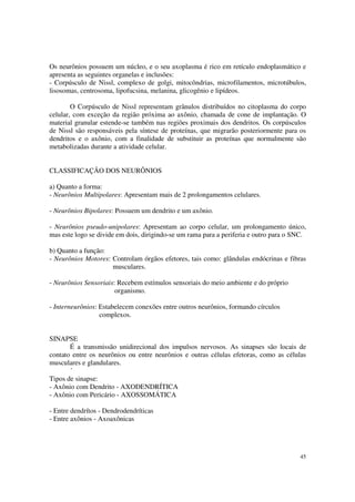 Os neurônios possuem um núcleo, e o seu axoplasma é rico em retículo endoplasmático e
apresenta as seguintes organelas e inclusões:
- Corpúsculo de Nissl, complexo de golgi, mitocôndrias, microfilamentos, microtúbulos,
lisosomas, centrosoma, lipofucsina, melanina, glicogênio e lipídeos.

        O Corpúsculo de Nissl representam grânulos distribuídos no citoplasma do corpo
celular, com exceção da região próxima ao axônio, chamada de cone de implantação. O
material granular estende-se também nas regiões proximais dos dendritos. Os corpúsculos
de Nissl são responsáveis pela síntese de proteínas, que migrarão posteriormente para os
dendritos e o axônio, com a finalidade de substituir as proteínas que normalmente são
metabolizadas durante a atividade celular.


CLASSIFICAÇÃO DOS NEURÔNIOS

a) Quanto a forma:
- Neurônios Multipolares: Apresentam mais de 2 prolongamentos celulares.

- Neurônios Bipolares: Possuem um dendrito e um axônio.

- Neurônios pseudo-unipolares: Apresentam ao corpo celular, um prolongamento único,
mas este logo se divide em dois, dirigindo-se um rama para a periferia e outro para o SNC.

b) Quanto a função:
- Neurônios Motores: Controlam órgãos efetores, tais como: glândulas endócrinas e fibras
                     musculares.

- Neurônios Sensoriais: Recebem estímulos sensoriais do meio ambiente e do próprio
                       organismo.

- Interneurônios: Estabelecem conexões entre outros neurônios, formando círculos
                  complexos.


SINAPSE
       É a transmissão unidirecional dos impulsos nervosos. As sinapses são locais de
contato entre os neurônios ou entre neurônios e outras células efetoras, como as células
musculares e glandulares.
       ´
Tipos de sinapse:
- Axônio com Dendrito - AXODENDRÍTICA
- Axônio com Pericário - AXOSSOMÁTICA

- Entre dendrítos - Dendrodendríticas
- Entre axônios - Axoaxônicas




                                                                                       45
 