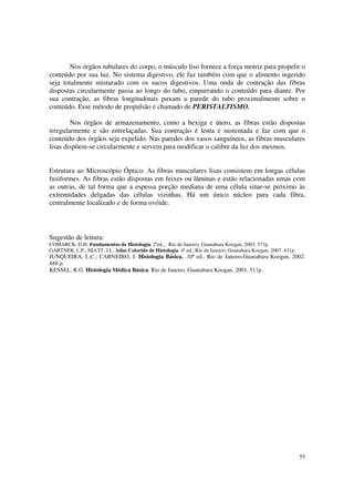 Nos órgãos tubulares do corpo, o músculo liso fornece a força motriz para propelir o
conteúdo por sua luz. No sistema digestivo, ele faz também com que o alimento ingerido
seja totalmente misturado com os sucos digestivos. Uma onda de contração das fibras
dispostas circularmente passa ao longo do tubo, empurrando o conteúdo para diante. Por
sua contração, as fibras longitudinais puxam a parede do tubo proximalmente sobre o
conteúdo. Esse método de propulsão é chamado de PERISTALTISMO.

        Nos órgãos de armazenamento, como a bexiga e útero, as fibras estão dispostas
irregularmente e são entrelaçadas. Sua contração é lenta e sustentada e faz com que o
conteúdo dos órgãos seja expelido. Nas paredes dos vasos sanguíneos, as fibras musculares
lisas dispõem-se circularmente e servem para modificar o calibre da luz dos mesmos.


Estrutura ao Microscópio Óptico: As fibras musculares lisas consistem em longas células
fusiformes. As fibras estão dispostas em feixes ou lâminas e estão relacionadas umas com
as outras, de tal forma que a espessa porção mediana de uma célula situe-se próximo às
extremidades delgadas das células vizinhas. Há um único núcleo para cada fibra,
centralmente localizado e de forma ovóide.



Sugestão de leitura:
COMARCK, D.H. Fundamentos de Histologia. 2ªed., , Rio de Janeiro, Guanabara Koogan, 2003, 371p.
GARTNER, L.P.; HIATT, J.L. Atlas Colorido de Histologia. 4ª ed., Rio de Janeiro, Guanabara Koogan, 2007, 431p.
JUNQUEIRA, L.C.; CARNEIRO, J. Histologia Básica. .10ª ed., Rio de Janeiro,Guanabara Koogan, 2002.
488 p.
KESSEL, R.G. Histologia Médica Básica. Rio de Janeiro, Guanabara Koogan, 2001, 511p.




                                                                                                                 55
 