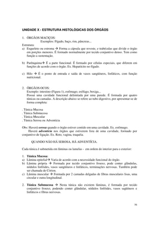 UNIDADE X - ESTRUTURA HISTOLÓGICAS DOS ÓRGÃOS

1. ÓRGÃOS MACIÇOS:
               Exemplos: Fígado, baço, rim, pâncreas...
Estrutura:
a) Esqueleto ou estroma     Forma a cápsula que reveste, e trabéculas que divide o órgão
    em porções menores. É formado normalmente por tecido conjuntivo denso. Tem como
    função a sustentação.

b) Parênquima É a parte funcional. É formado por células especiais, que diferem em
   funções de acordo com o órgão. Ex. Hepatócito no fígado.

c) Hilo     É o ponto de entrada e saída de vasos sangüíneos, linfáticos, com função
   nutricional.


2. ÓRGÃOS OCOS:
   Exemplo: intestino (Figura 1), estômago, esôfago, bexiga...
   Possui uma cavidade funcional delimitada por uma parede. É formada por quatro
   túnicas ou camadas. A descrição abaixo se refere ao tubo digestivo, por apresentar-se de
   forma completa:

. Túnica Mucosa
. Túnica Submucosa
. Túnica Muscular
. Túnica Serosa ou Adventícia

Obs: Haverá serosa quando o órgão estiver contido em uma cavidade. Ex. estômago.
     Haverá adventícia nos órgãos que estiverem fora de uma cavidade, formado por
conjuntivo de ligação. Ex. Reto, vagina, traquéia.

       QUANDO NÃO HÁ SEROSA, HÁ ADVENTÍCIA.

Cada túnica é submetida em lâminas ou lamelas - em ordem do interior para o exterior:

1. Túnica Mucosa:
a) Lâmina epitelial Varia de acordo com a necessidade funcional do órgão.
b) Lâmina própria         Formada por tecido conjuntivo frouxo, pode conter glândulas,
   nódulos linfóides, vasos sangüíneos e linfáticos, terminações nervosas. Também pode
   ser chamada de Córion.
c) Lâmina muscular        Formada por 2 camadas delgadas de fibras musculares lisas, uma
   circular e outra longitudinal.

2. Túnica Submucosa            Nesta túnica não exixtem lâminas, é formada por tecido
   conjuntivo frouxo, podendo conter glândular, nódulos linfóides, vasos sagüíneos e
   linfáticos e fibras nervosas.


                                                                                        56
 